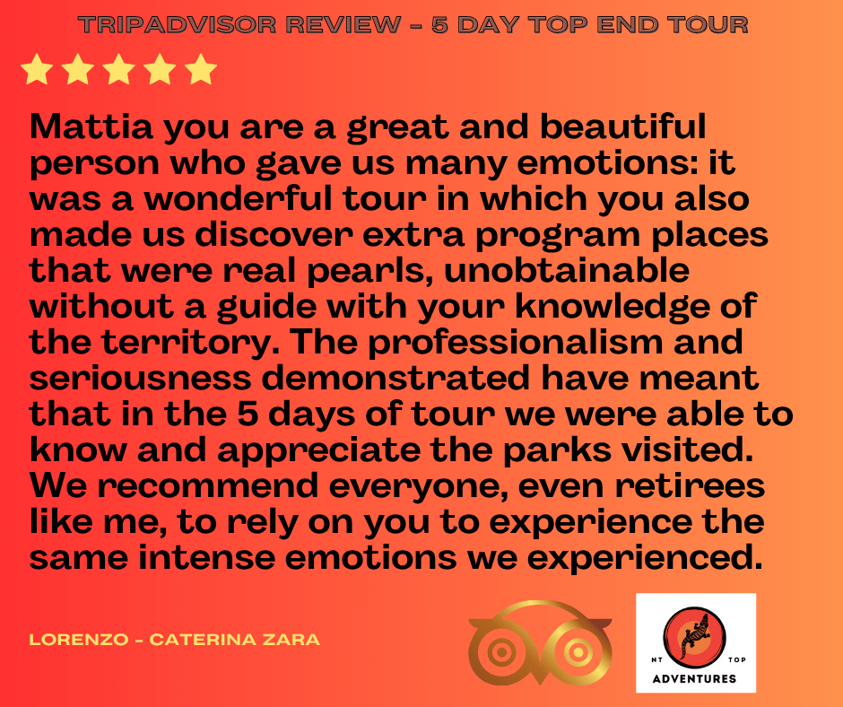 🌏 Discover the Northern Territory Like Never Before: NT Top Adventures Is Redefining Private Travel